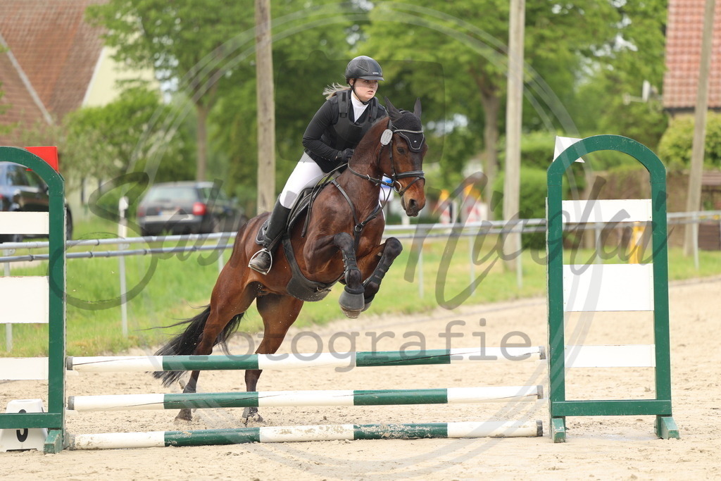 994A8710 | sabrinanicolaifotografie - Realisiert mit Pictrs.com