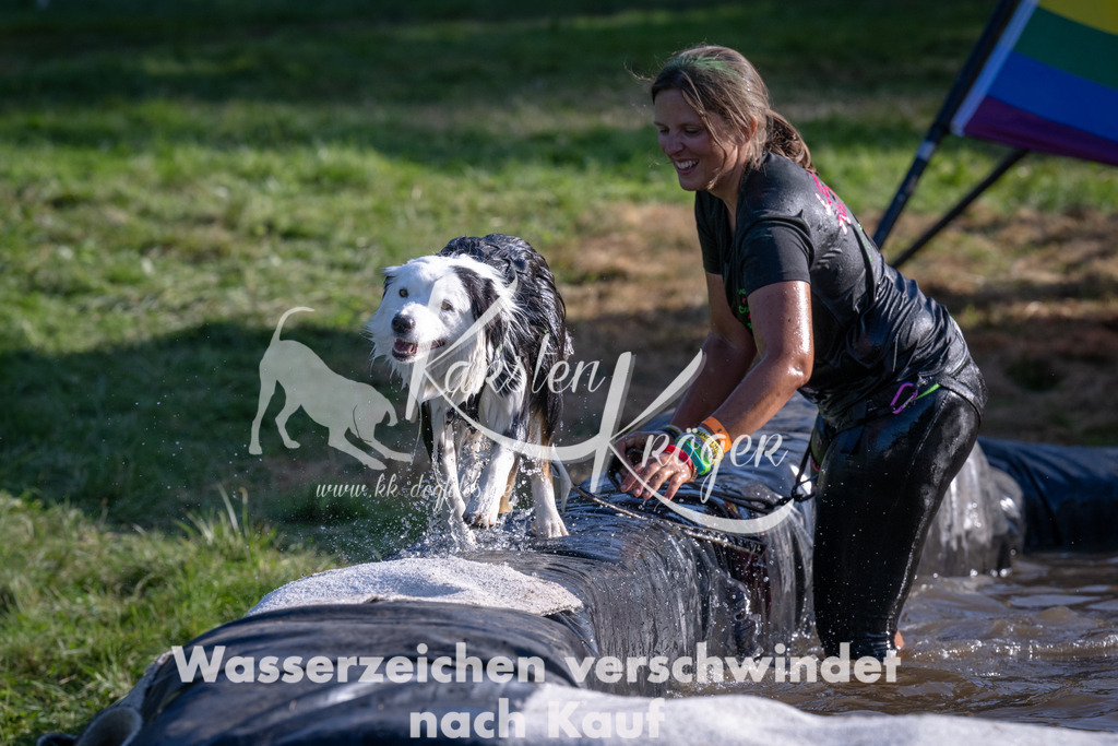 1711_ZZ93705 | kk-dogfotos