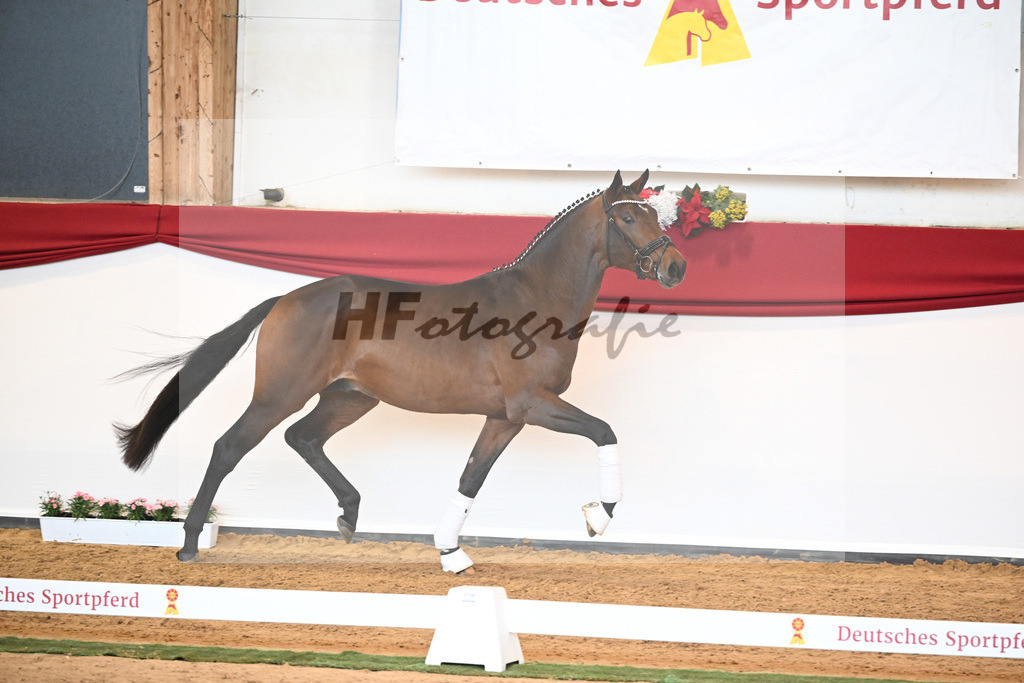 Kat-Nr. 40 Monte Carlo TC x Finest_Gestuet Greim_43230352 | hf-fotografie - Realisiert mit Pictrs.com