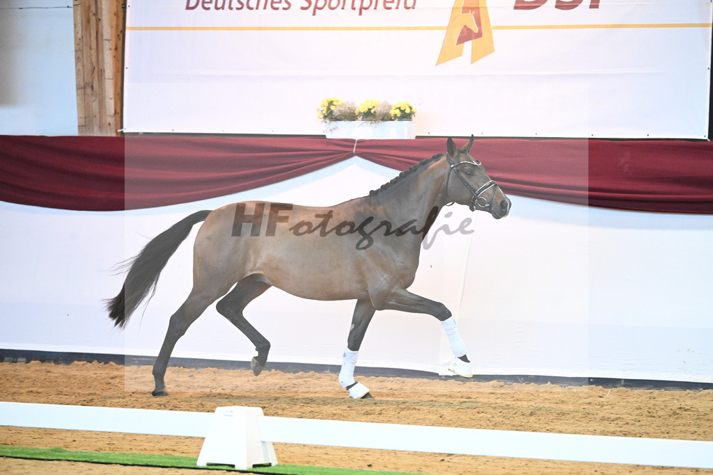 Kat-Nr. 11 v. Borsalino_Koegler u Schuhmacher_66220129 | hf-fotografie - Realisiert mit Pictrs.com