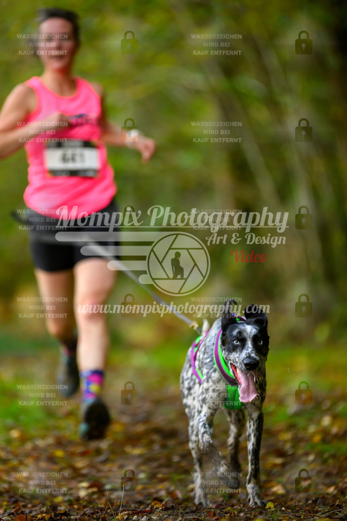 MompixPhotography_20TSB_E1_Run-78 | PayLife