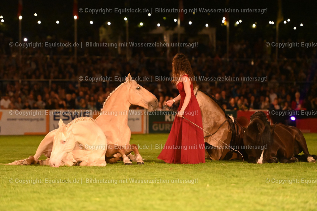 20230526_Pferdenacht_1552 | equistock