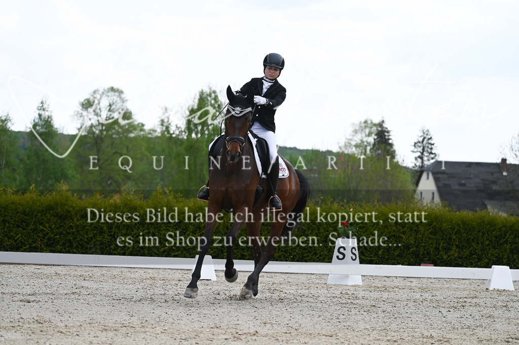 20230512_JK-Röhrsdorf-03-004 | Pferde- und Turnierfotografie in Westsachsen. Pferdeportraits, Auftragszeichnungen und intuitive Kunst.