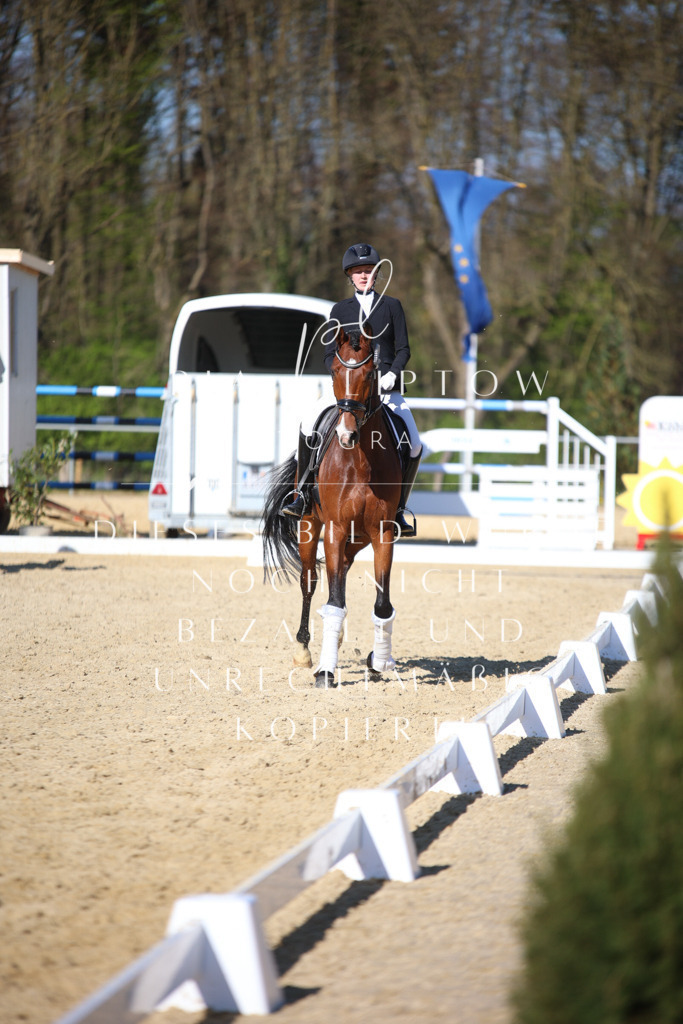 IMGT9158 | pl-fotografie