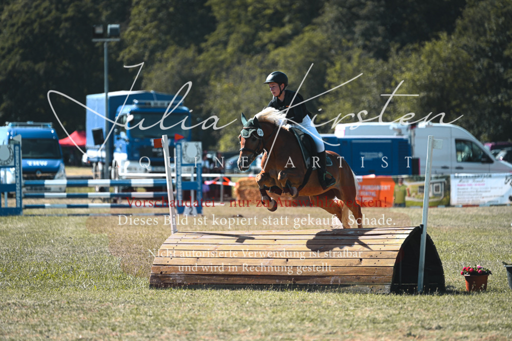 DSC_8070 | Pferde- und Turnierfotografie in Westsachsen. Pferdeportraits, Auftragszeichnungen und intuitive Kunst.