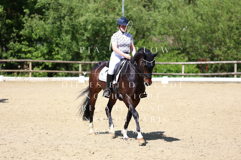 IMGS3966 | pl-fotografie