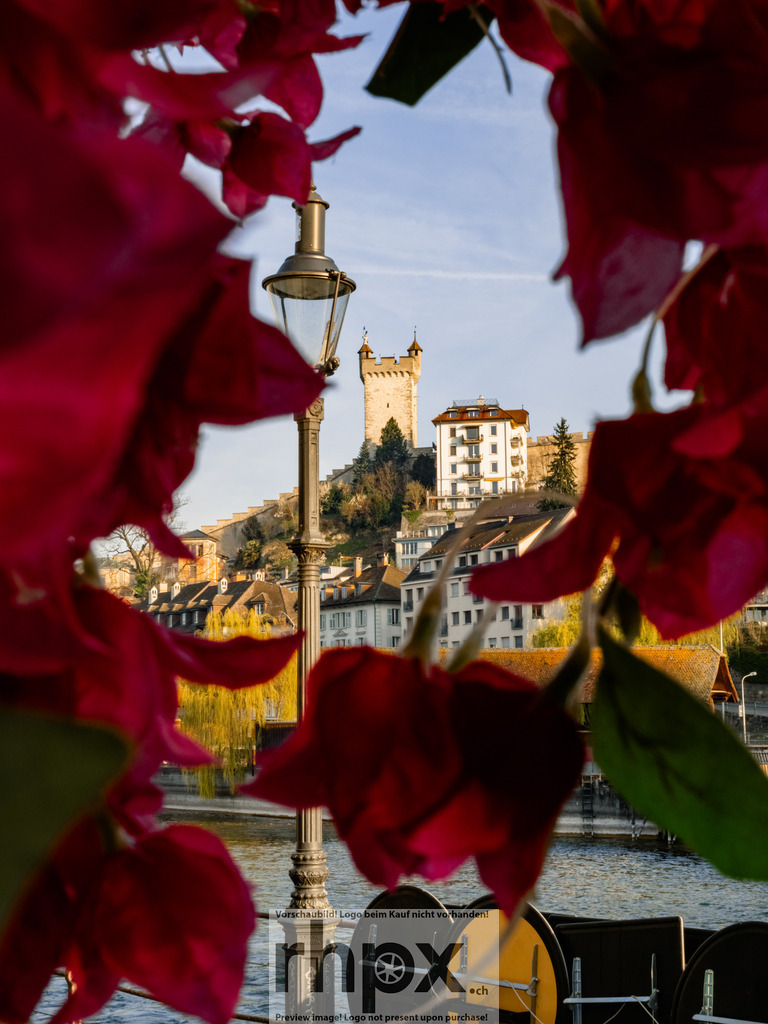 P3240082 | Stimmungsvolle Fotokunst aus Luzern. Erlebe den Pilatus, den See und die Stadt Luzern in exklusiven Aufnahmen in der Fotogalerie & Shop. - Realisiert mit Pictrs.com