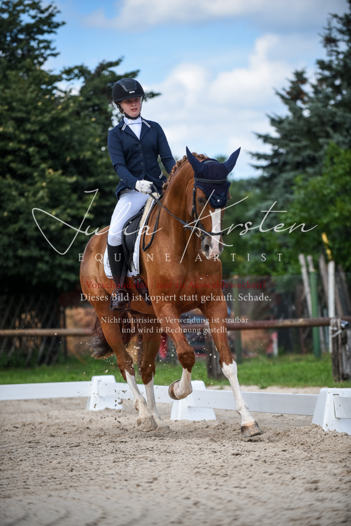 DSC_9383 | Pferde- und Turnierfotografie in Westsachsen. Pferdeportraits, Auftragszeichnungen und intuitive Kunst.
