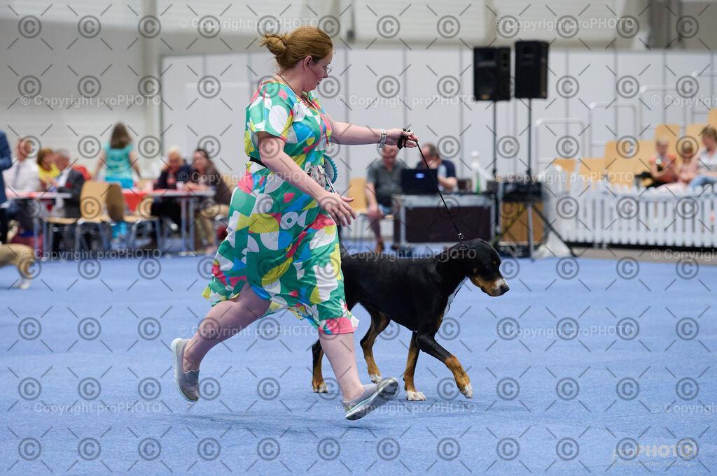 202406_ÖKV-IHA-Tulln24_DSC_3082 | proPHOTO - Realisiert mit Pictrs.com