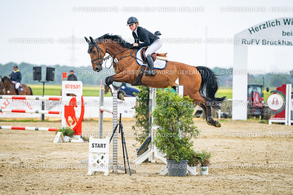 DSC08740 | Pferdegrafie