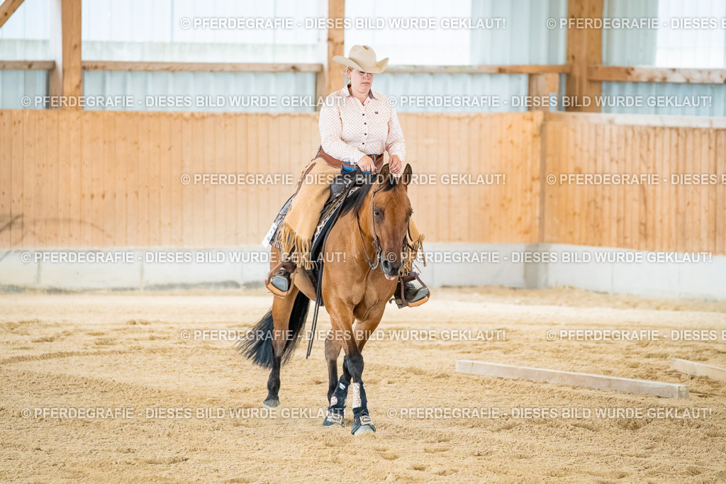 DSC07293 | Pferdegrafie