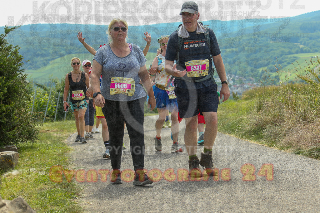 250614_1312_EX1_8418 | Sportfotografie im Rhein-Sieg Kreis, Köln, Bonn, NRW, Rheinland Pfalz, Hessen, etc. Unser Tätigkeitsfeld umfasst den Laufsport vom Volkslauf über den Marathon, Duathlon, Triathon bis zum Ultralauf wie Kölnpfad Ultra oder Schindertrail.