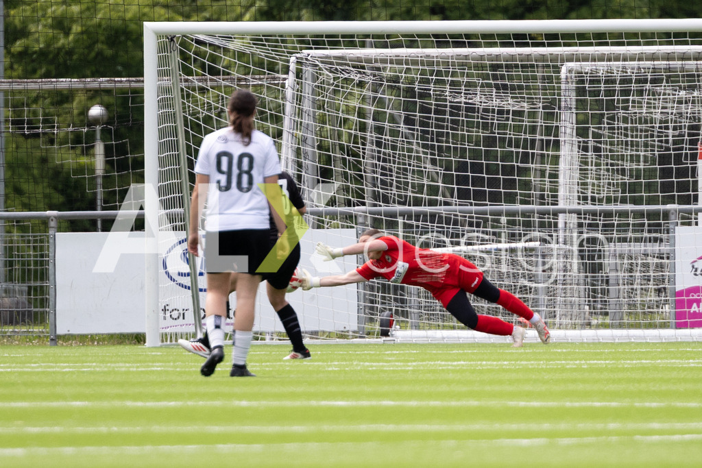 Fußball I Frauen I Saison 2025-2026 I Frauen 3. Liga | FVRZ Gruppe 2 | 18. Spieltag I Spielvereinigung Schaffhausen Damen 1 - Team Furttal Zürich I 17.05.2026 | Hochwertige Sportfotos kaufen & lizenzieren für Medien, Vereine, Agenturen & Sportler:innen. Entdecke professionelle Sportfotografie im Bildshop von Alexander Franzen. - Realisiert mit Pictrs.com