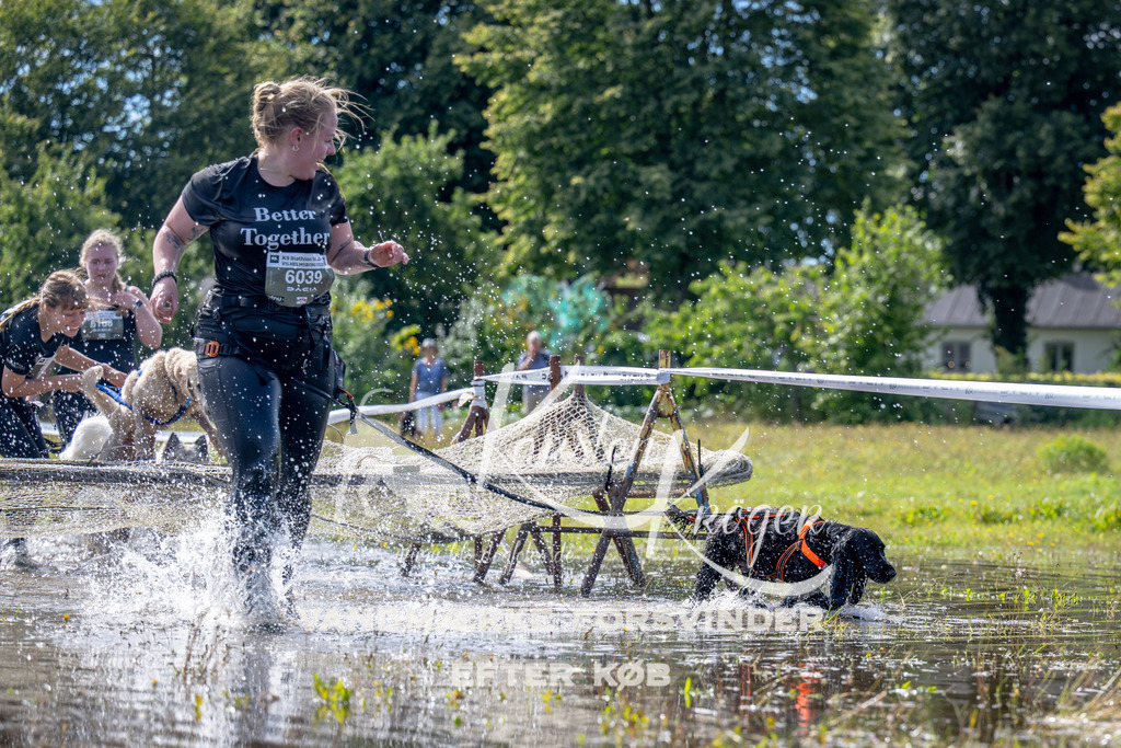 1217_ZZ93484 | kk-dogfotos