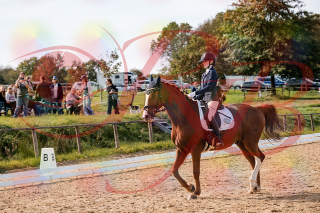 2026_10_03_Siefer-Hof_133003_Z63_91873411 | Professionelle Reitsport-, Turnier- und Eventfotografie von Robert Broda. Galerien mit ausgewählten und bearbeiteten Bildern direkt online ansehen und bestellen.