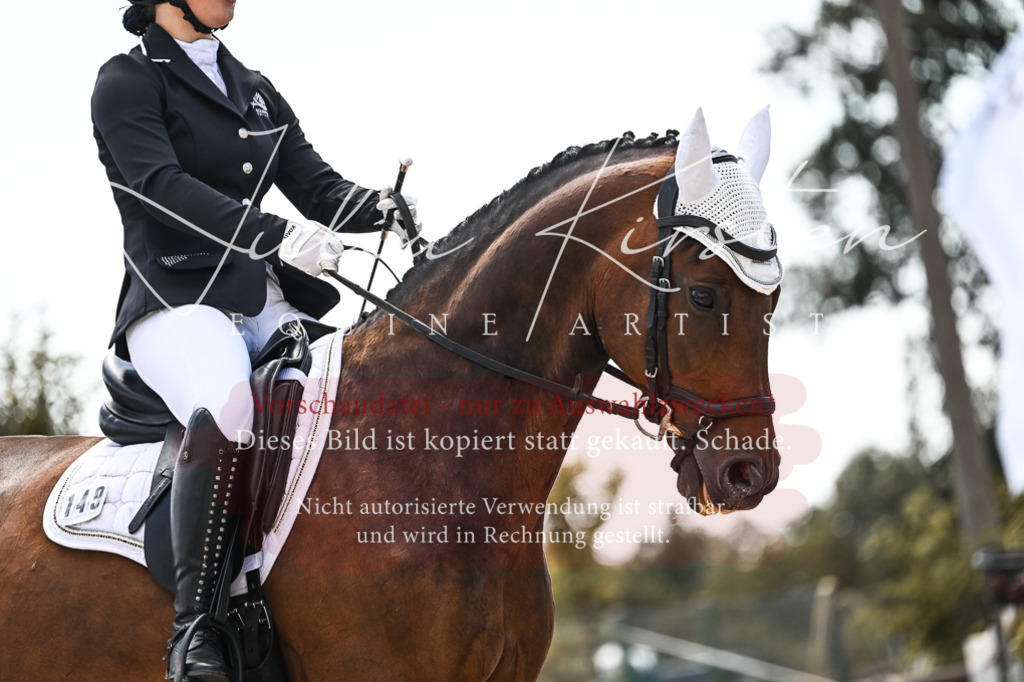 DSC_5628 | Pferde- und Turnierfotografie in Westsachsen. Pferdeportraits, Auftragszeichnungen und intuitive Kunst.