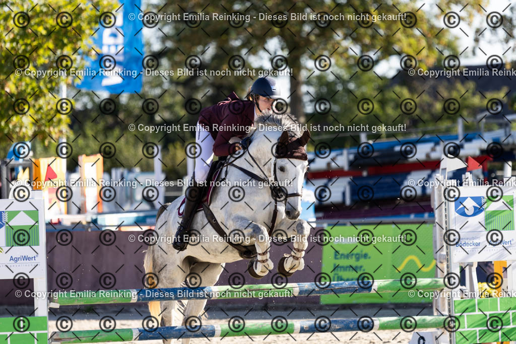 CL5A1228 | Emilia Reinking Fotografie - Realisiert mit Pictrs.com