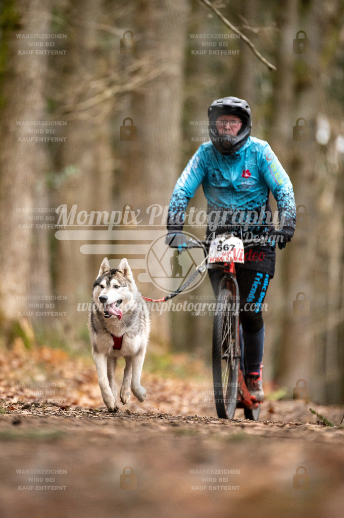 SPA_2023_DIM_Scooter-41 | PayLife