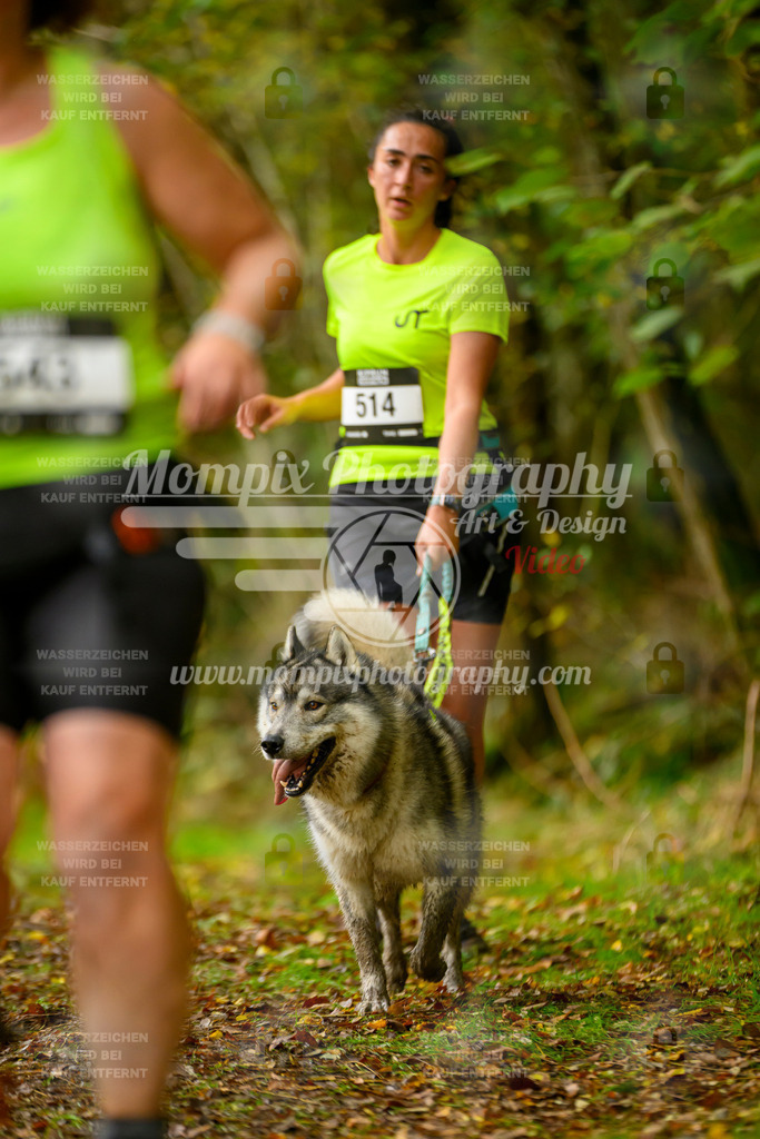 MompixPhotography_20TSB_E1_Run-174 | PayLife