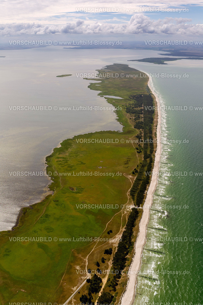 Hiddensee12081710 | Süden der Insel Hiddensee, Naturschutzgebiete Gellen und Gänsewerder,  Insel Hiddensee, Ostseeinsel, Mecklenburg-Vorpommern, Deutschland, Europa