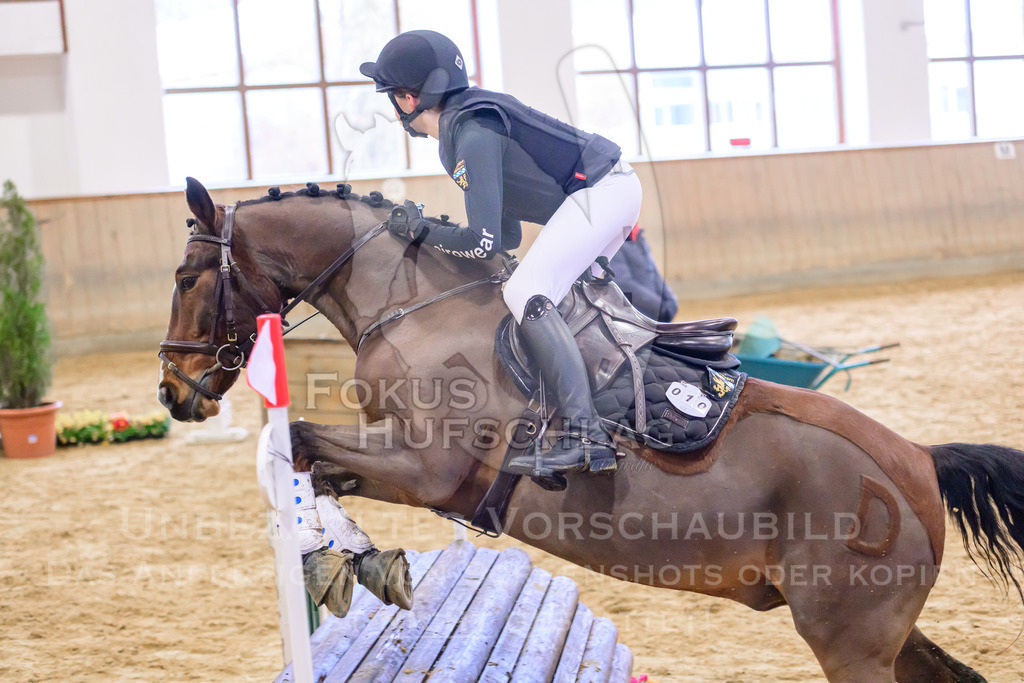 29032026-Schwaiganger-Prfg03-1-0703 | Fokus Hufschlag Fotografie - Realisiert mit Pictrs.com