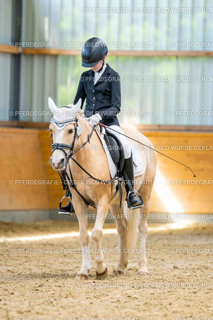 DSC08579 | Pferdegrafie