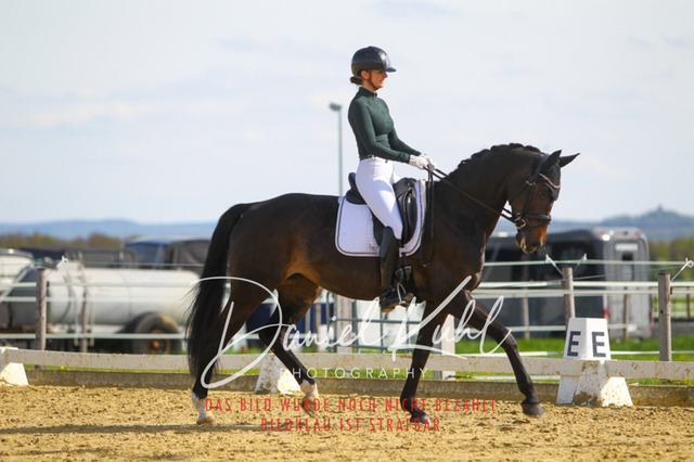 DKP43315 | Turniersportfotografie; Pferdefotografie; Dressurfotografie