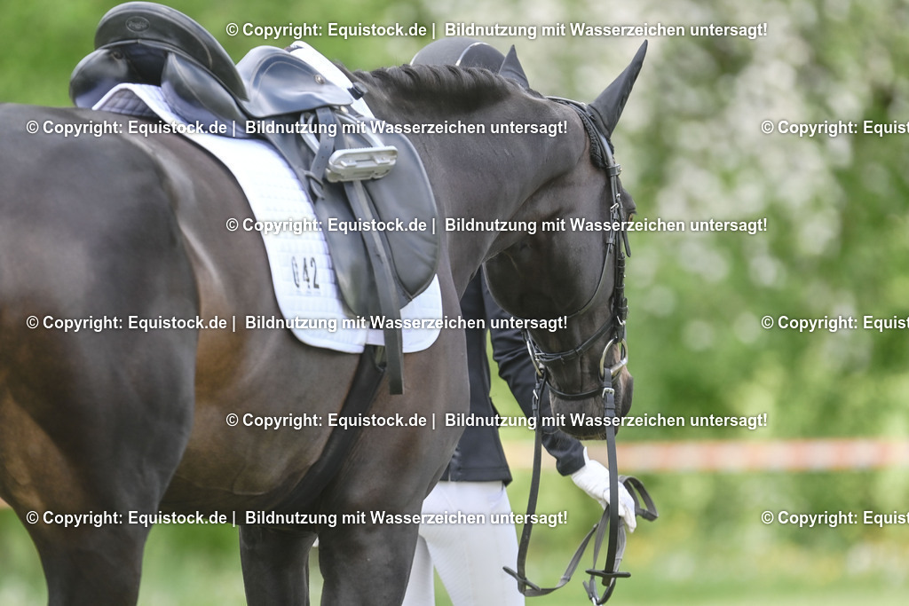 20250516_Impressionen_0082 | Foto: Thomas Hartig