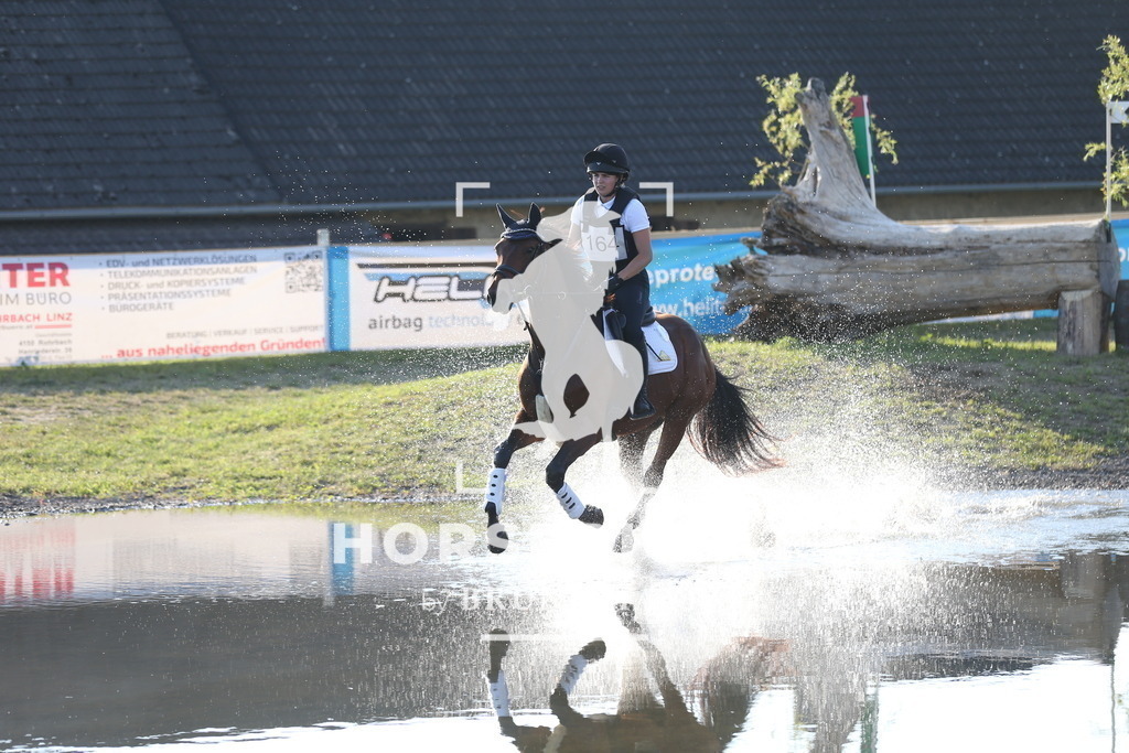 DL2Q3405 | Willkommen bei Brunnmayr - Design & Fotografie – Ihrem Spezialisten für Reitturniere und Pferdeveranstaltungen in Oberösterreich, Salzburg und Bayern! Seit über 17 Jahren sind wir leidenschaftlich dabei.