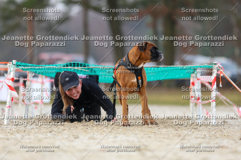 Dog Paparazzi - Strongdog North Mrz26-3808 | Dog Paparazzi Jeanette Grottendiek Fotografie & Videografie - Realisiert mit Pictrs.com