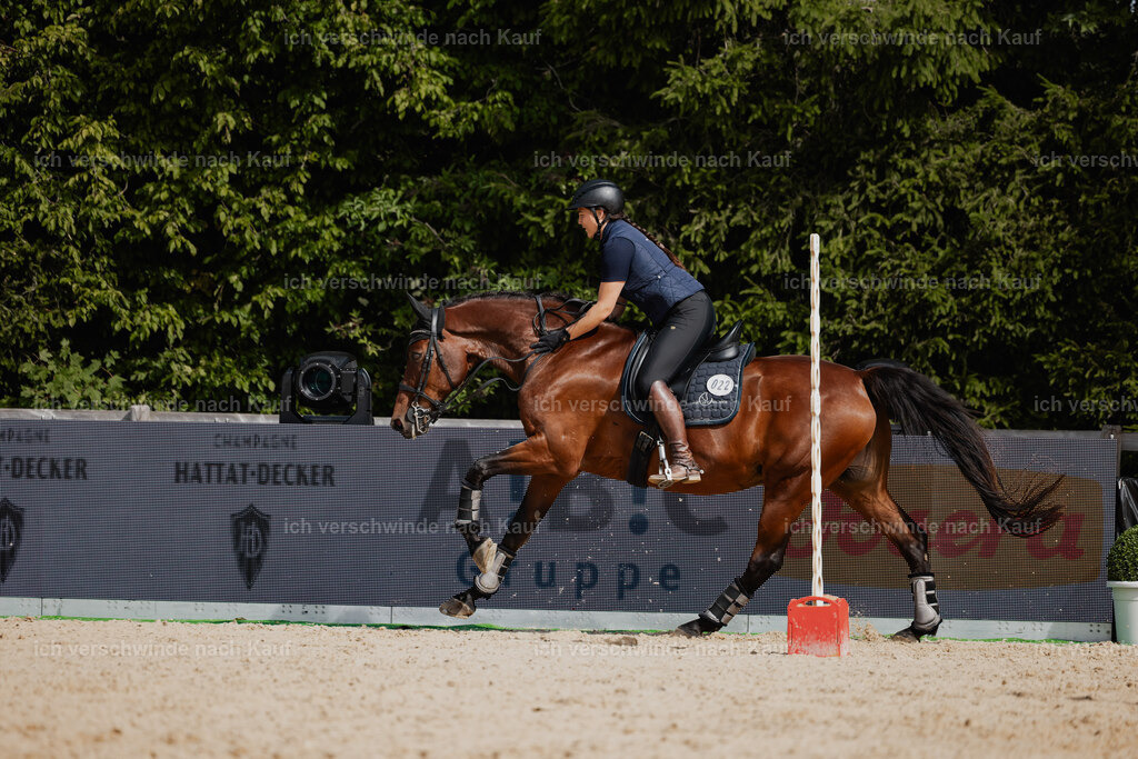 Nadine22_FHC2025-132 | working equitationturnier fotograf videograf stoibphotography marixx film working equitation deutschland reitsport turnierfotografie eventfotografie equestrian events