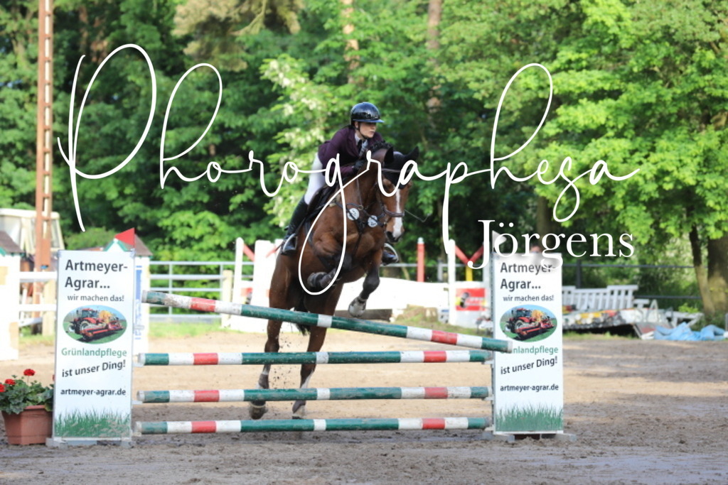 IMG_9113 | photographesa-joergens - Realisiert mit Pictrs.com