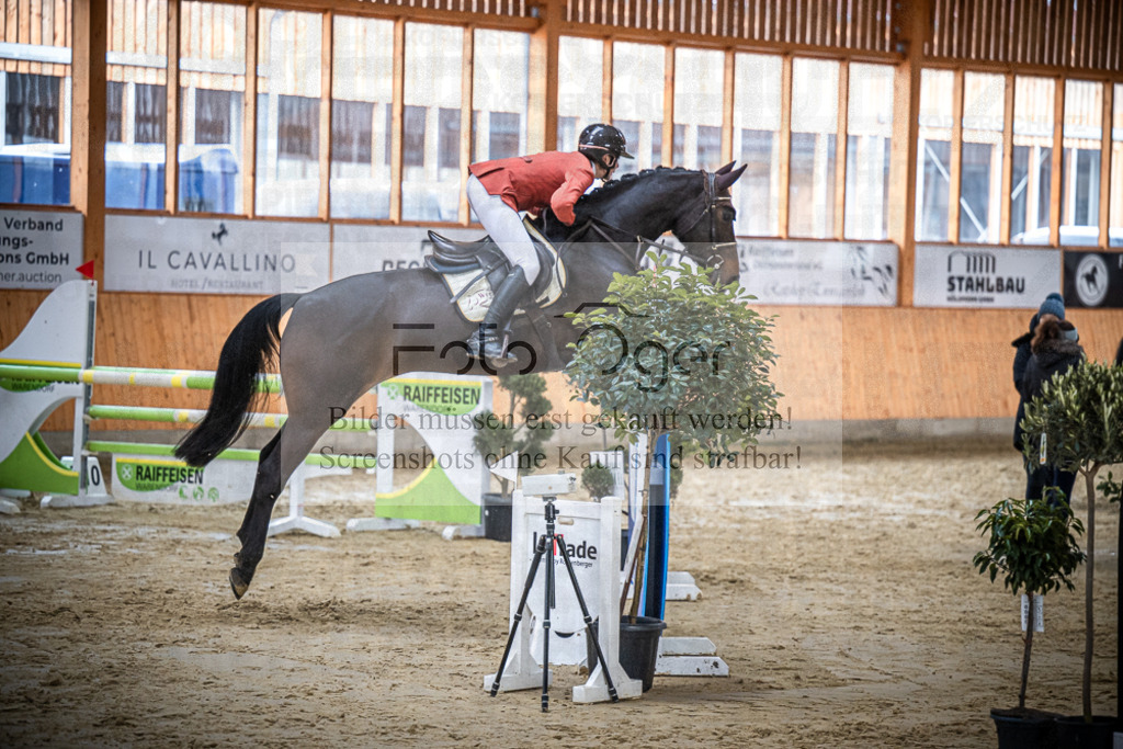 DOS_2191 | Entdecke hochwertige Reitturnierfotos von Foto Oger. Professionell, emotional und authentisch – jetzt Lieblingsmomente im Shop bestellen.Deutschlandweite Turnierfotografie. - Realisiert mit Pictrs.com