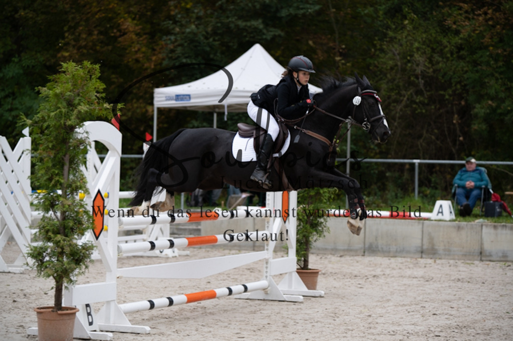 A7V09929 | Turnier/Reitfotograf