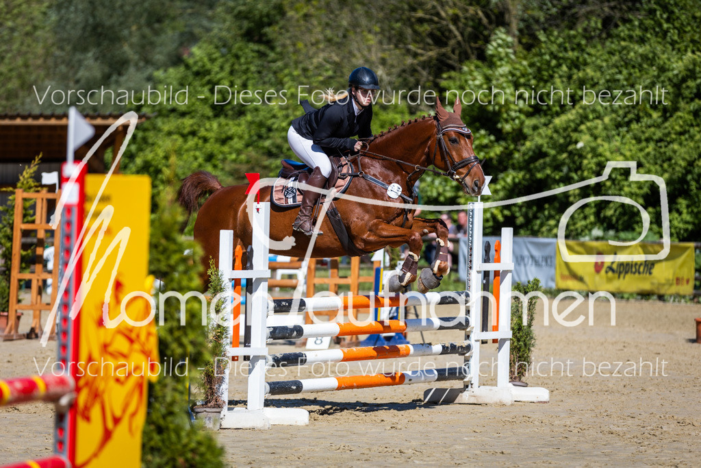 Donop24-A2Spr-128 | MomenTaufnahmen Pferdesportfotos