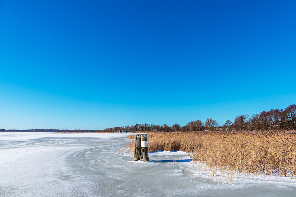 Schilf und Dalben am Bodden bei Wieck auf dem Fischland-Darß im Winter | Schilf und Dalben am Bodden bei Wieck auf dem Fischland-Darß im Winter.