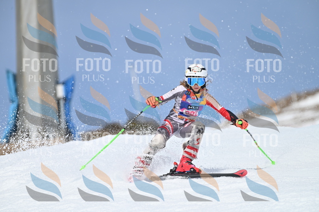 BGV_3135 | holidayphoto