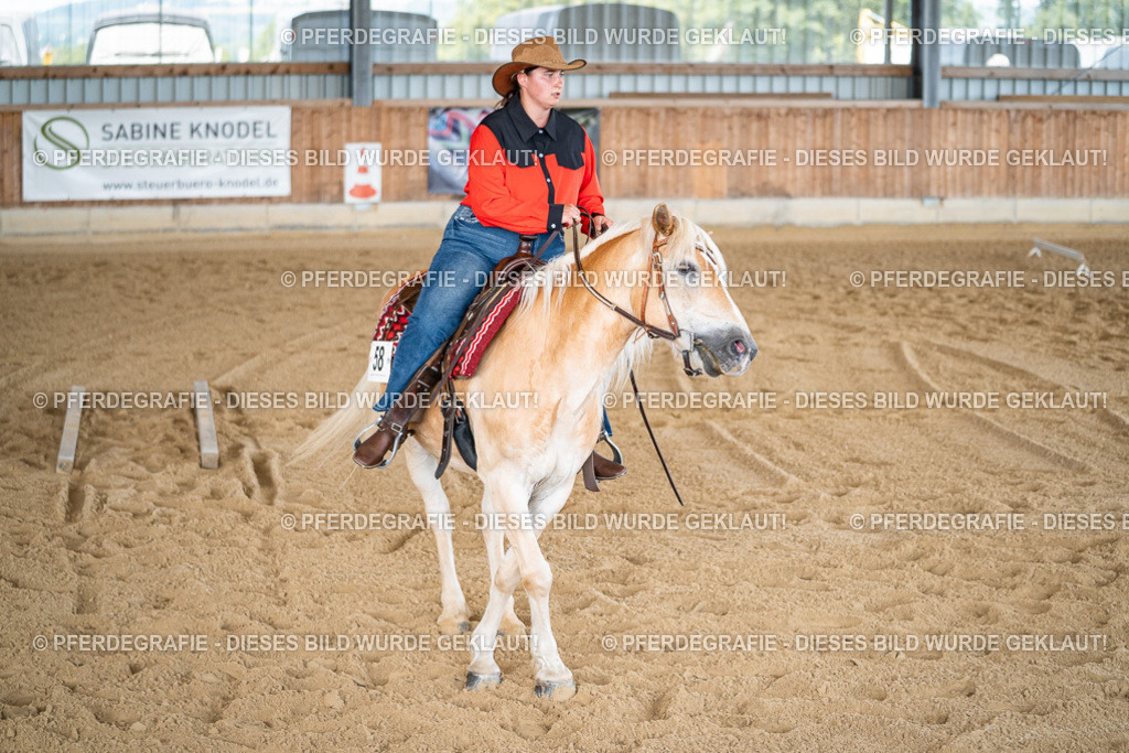 DSC02847 | Pferdegrafie