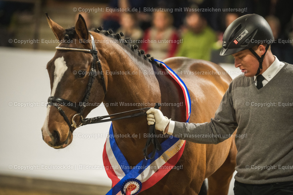 20240302_Hengstvorstellung_Marbach_TOMsPiC_0475 | equistock