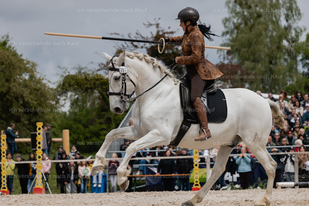 PI26_SP_StoibphotographyC2_C1485.jpg | working equitationturnier fotograf videograf stoibphotography marixx film working equitation deutschland reitsport turnierfotografie eventfotografie equestrian events