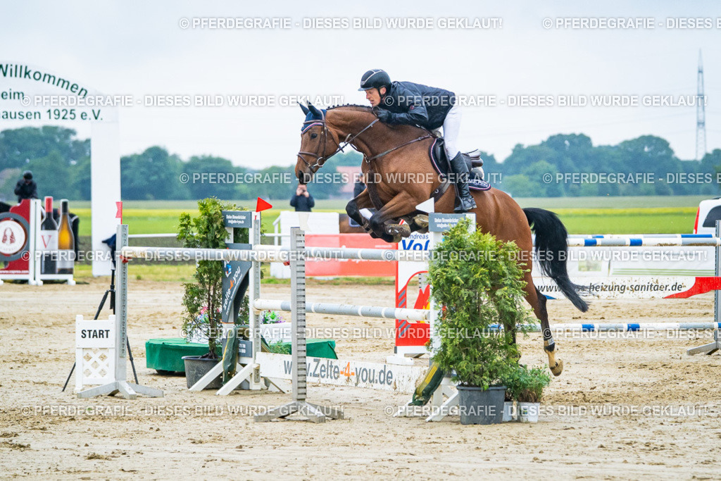 DSC00319 | Pferdegrafie