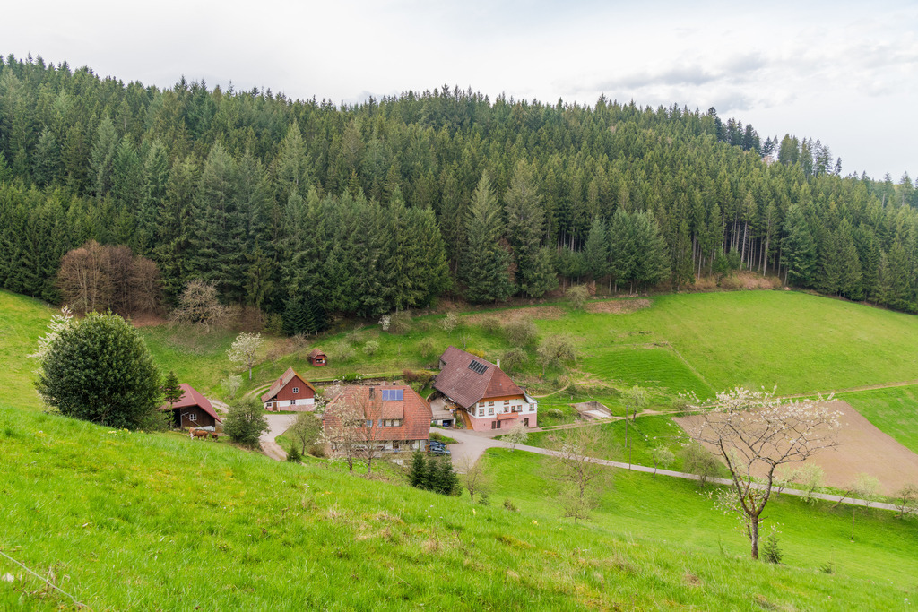 Blick auf den Kurzbach | Ausblick auf den Kurzbach - Realisiert mit Pictrs.com