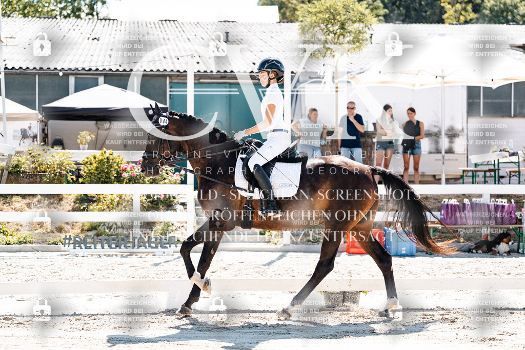 CK902284 | Turnierfotografie Pferdefotografie Trier Rheinland-Pfalz Pferdesport Reitsport Tierfotografie Sportfotografie Pferdevideo Pferdevideografie Equestrianvideography equestrianphotography  - Realisiert mit Pictrs.com