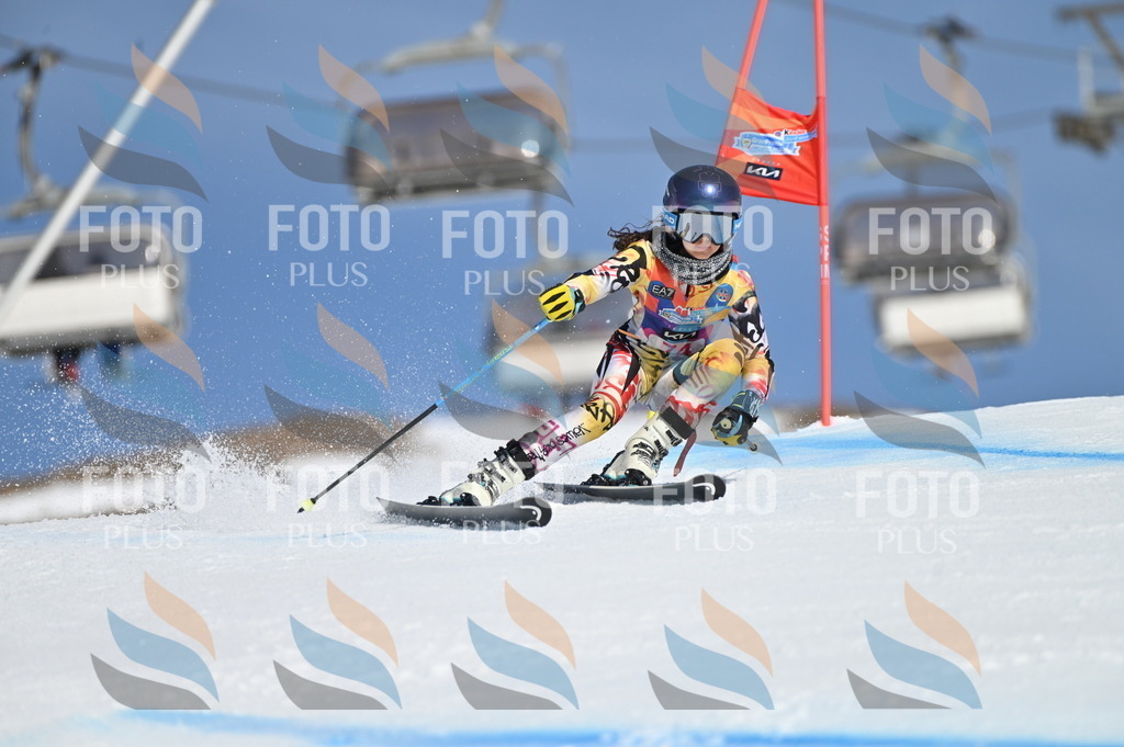 BGV_8977 | holidayphoto