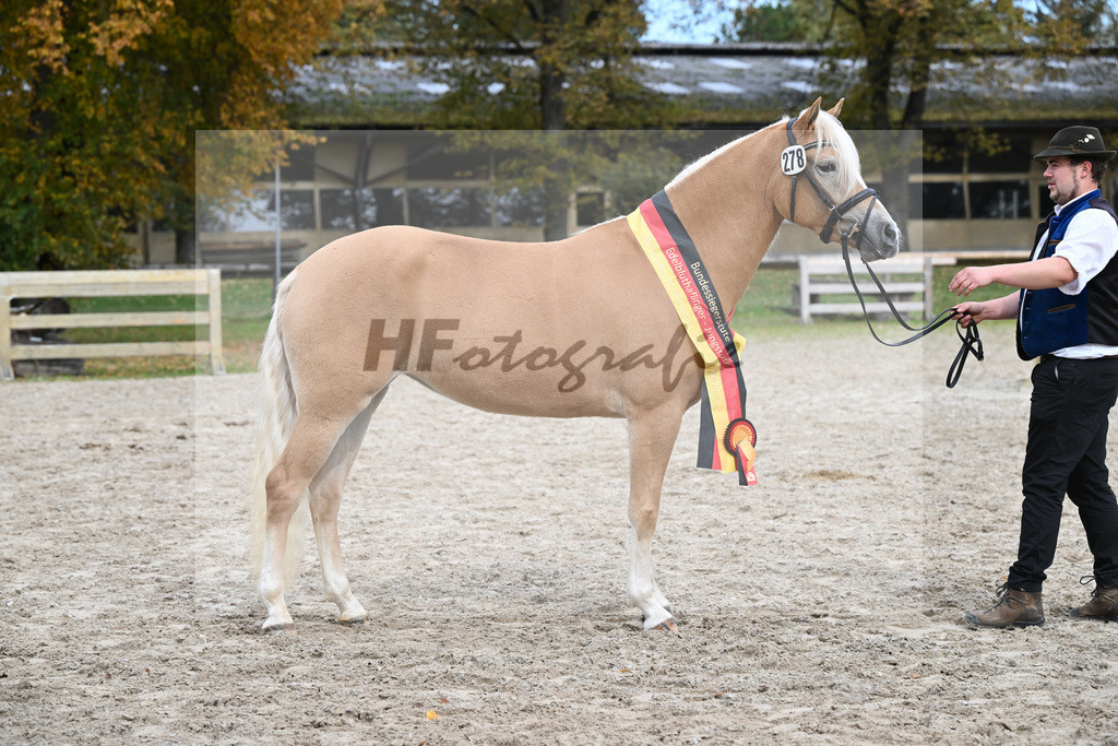 Kat-Nr. 278 Daria_Obermaier_54223387 | hf-fotografie - Realisiert mit Pictrs.com
