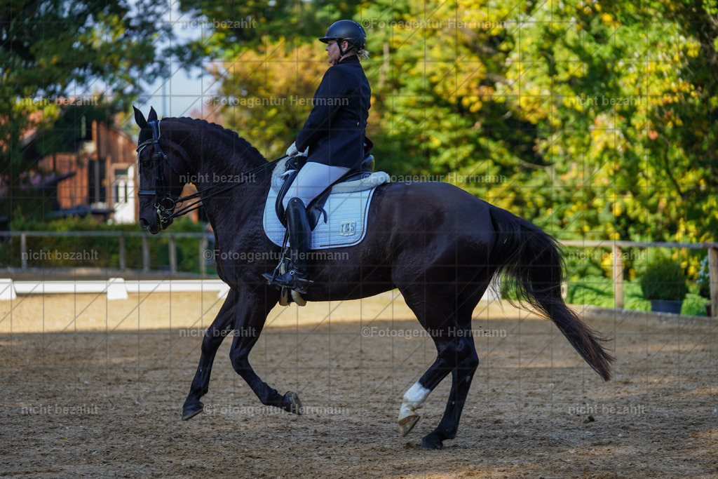 20221007-FAH00211 | Diessen am Ammersee, 2022, Dressur- und Springturnier, Reitsportbilder, Turnierfotografen Bayern, Pferdefotografen, Fotoagentur Herrmann, Turnierbilder