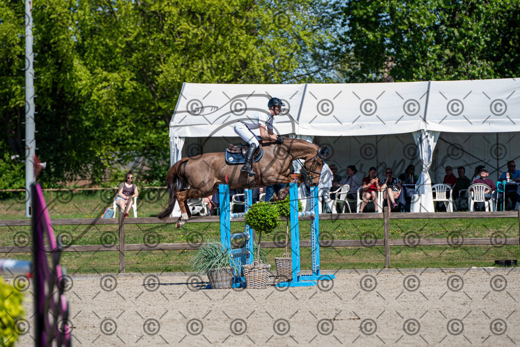 KPT_1024 | andre_photographic