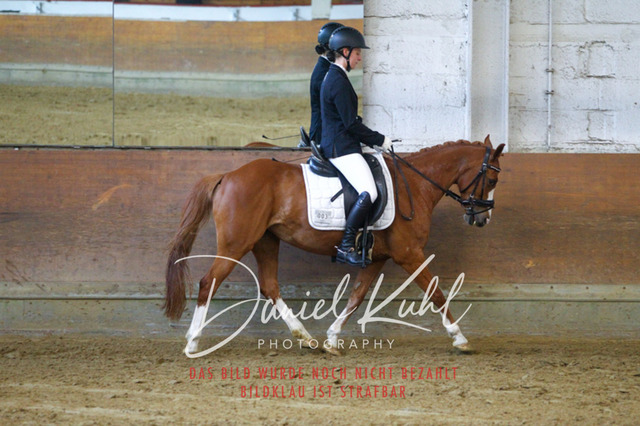 DKP43362 | Turniersportfotografie; Pferdefotografie; Dressurfotografie