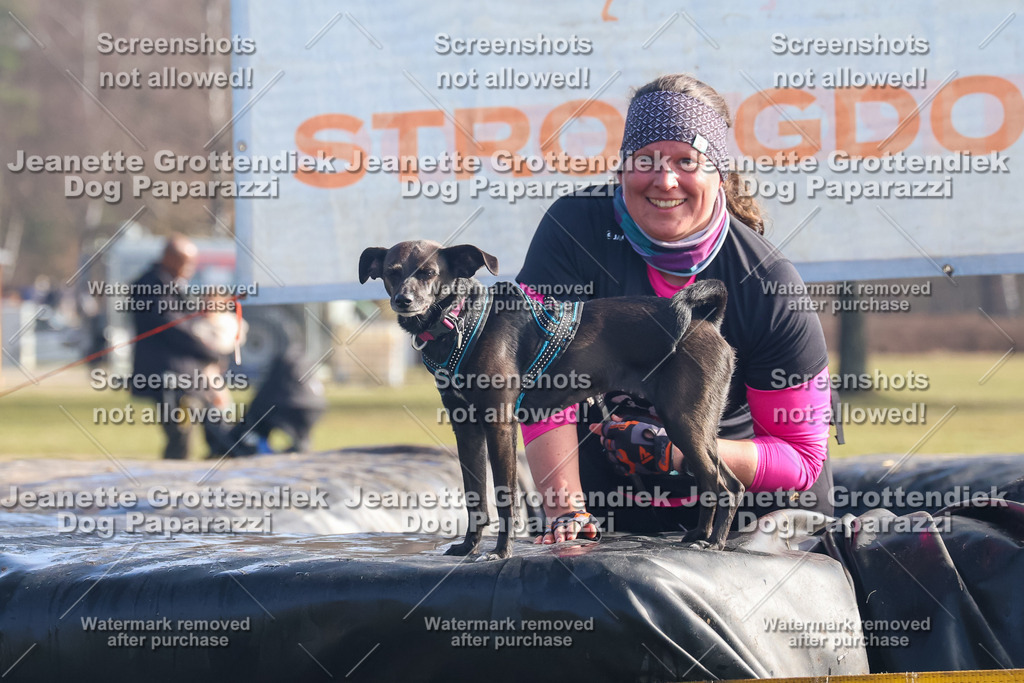 Dog Paparazzi - Strongdog North Mrz26-872 | Dog Paparazzi Jeanette Grottendiek Fotografie & Videografie - Realisiert mit Pictrs.com