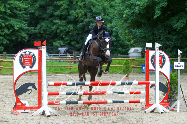 DKP44980 | Turniersportfotografie; Pferdefotografie; Dressurfotografie